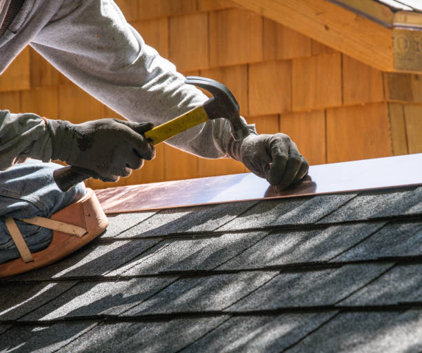 Best Roof Repair Services  in Cannon Falls, MN